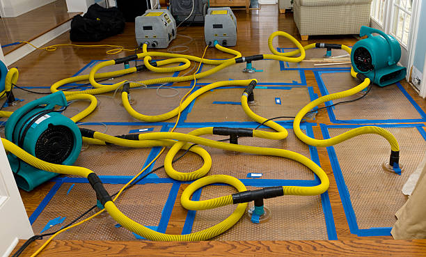 Professional Storm Water Damage Restoration technician working in Westlake Village, IL